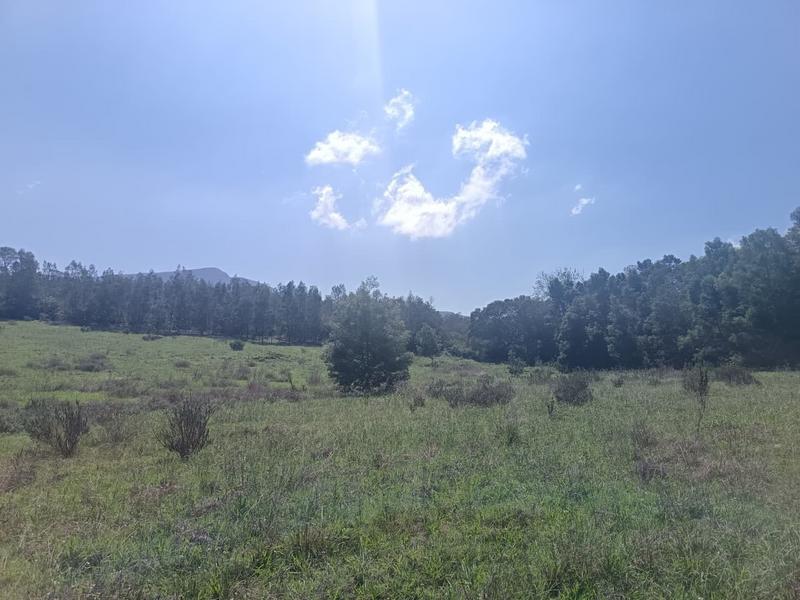 0 Bedroom Property for Sale in Albertinia Western Cape